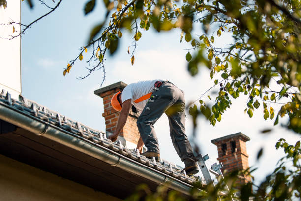 Best Flat Roof Repair Services  in Los Molinos, CA